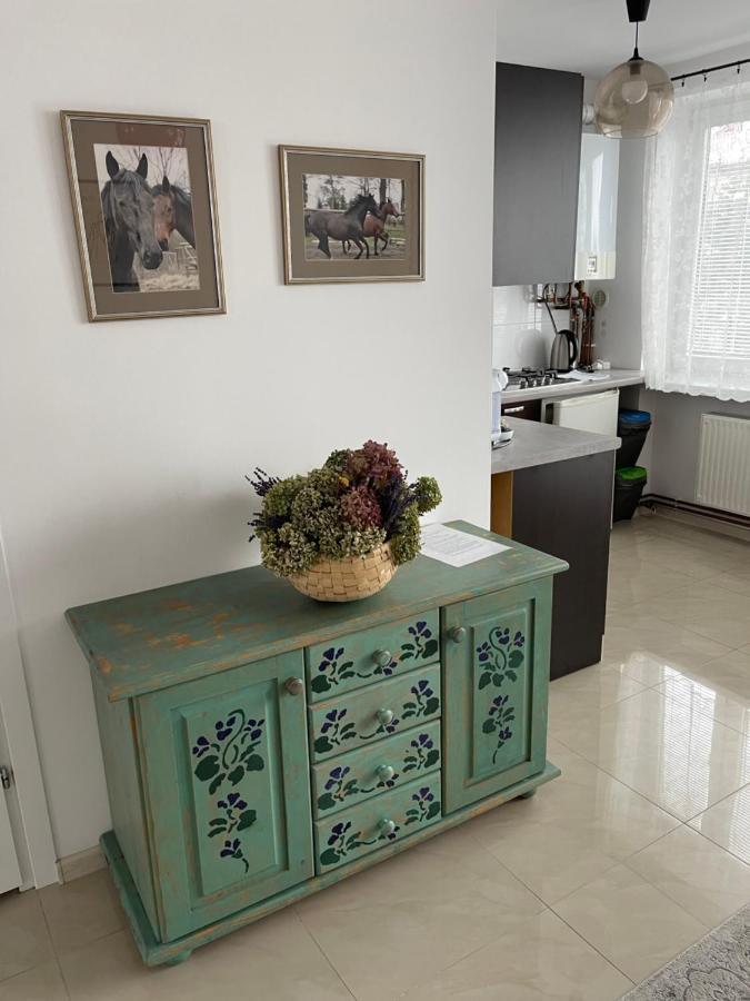 Apartamenty Cud Miod Krosno Dış mekan fotoğraf